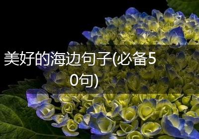美好的海边句子(必备50句)