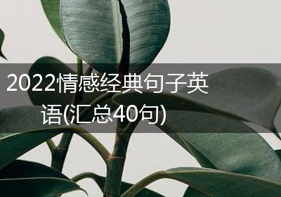 2022情感经典句子英语(汇总40句)