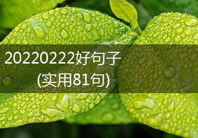 20220222好句子(实用81句)