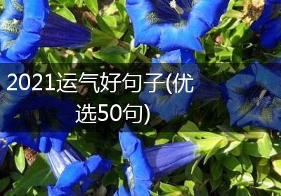 2021运气好句子(优选50句)