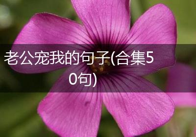 老公宠我的句子(合集50句)