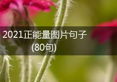 2021正能量图片句子(80句)
