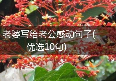 老婆写给老公感动句子(优选10句)