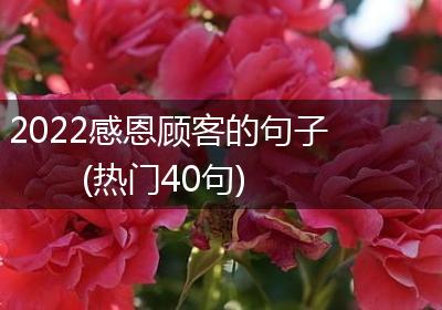2022感恩顾客的句子(热门40句)