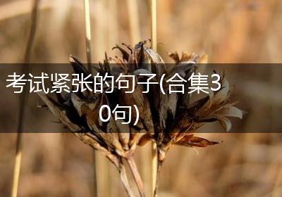 考试紧张的句子(合集30句)