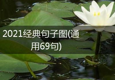 2021经典句子图(通用69句)