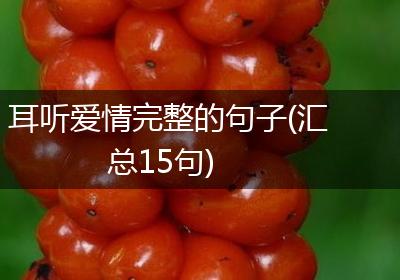 耳听爱情完整的句子(汇总15句)