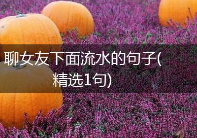 聊女友下面流水的句子(精选1句)