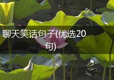 聊天笑话句子(优选20句)