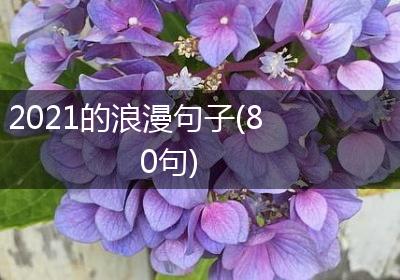 2021的浪漫句子(80句)