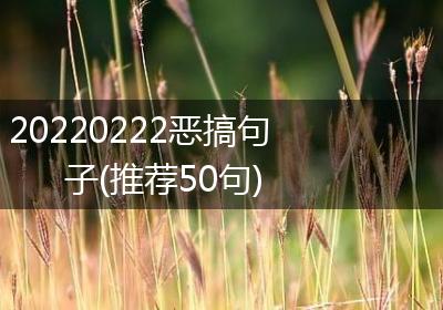 20220222恶搞句子(推荐50句)