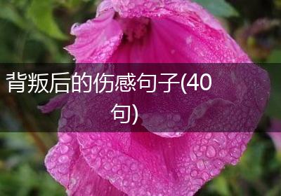 背叛后的伤感句子(40句)