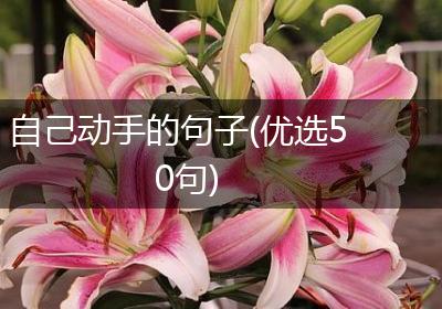 自己动手的句子(优选50句)