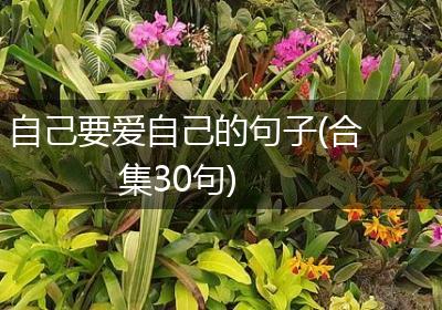自己要爱自己的句子(合集30句)