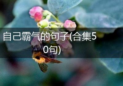 自己霸气的句子(合集50句)