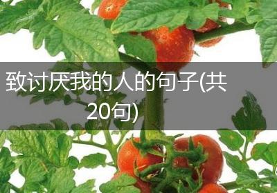 致讨厌我的人的句子(共20句)