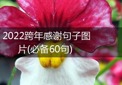 2022跨年感谢句子图片(必备60句)