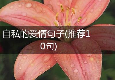 自私的爱情句子(推荐10句)