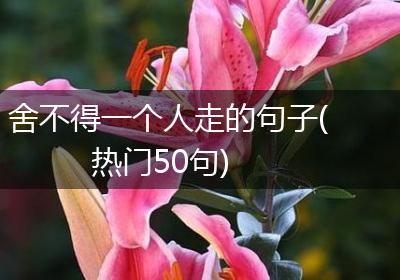 舍不得一个人走的句子(热门50句)