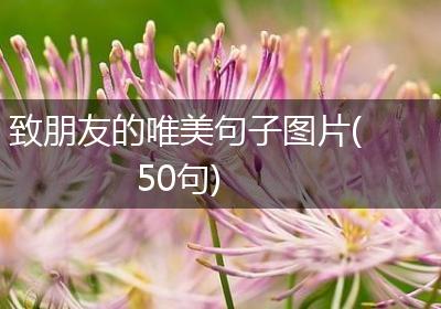 致朋友的唯美句子图片(50句)