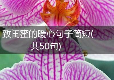 致闺蜜的暖心句子简短(共50句)