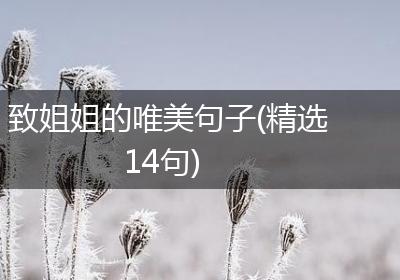 致姐姐的唯美句子(精选14句)