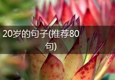 20岁的句子(推荐80句)