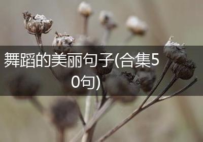 舞蹈的美丽句子(合集50句)