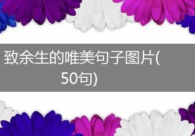 致余生的唯美句子图片(50句)