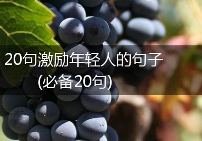 20句激励年轻人的句子(必备20句)