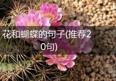 花和蝴蝶的句子(推荐20句)