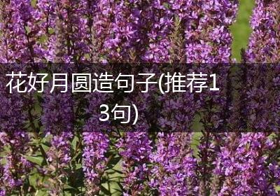花好月圆造句子(推荐13句)