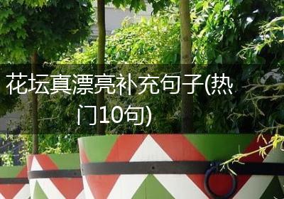花坛真漂亮补充句子(热门10句)