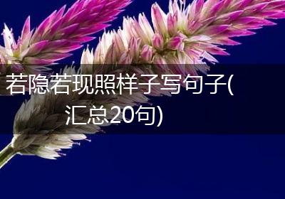 若隐若现照样子写句子(汇总20句)