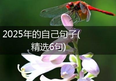 2025年的自己句子(精选6句)