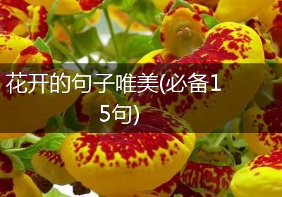 花开的句子唯美(必备15句)