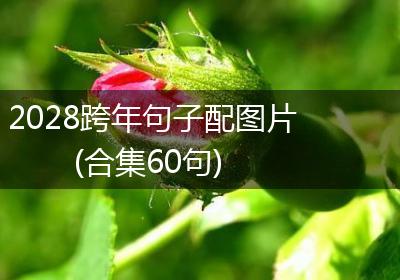 2028跨年句子配图片(合集60句)