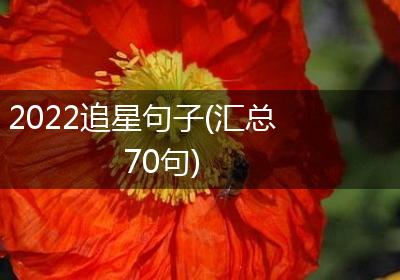 2022追星句子(汇总70句)
