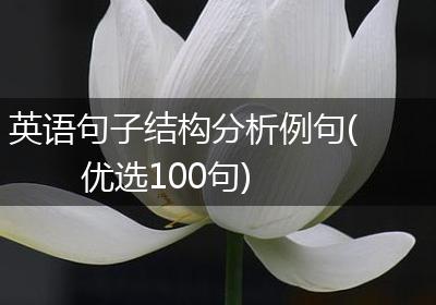英语句子结构分析例句(优选100句)