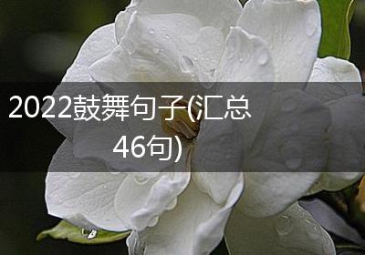 2022鼓舞句子(汇总46句)