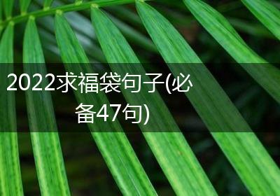 2022求福袋句子(必备47句)