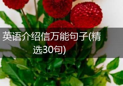 英语介绍信万能句子(精选30句)