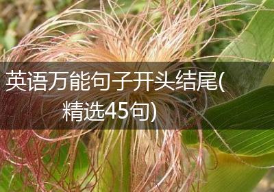 英语万能句子开头结尾(精选45句)