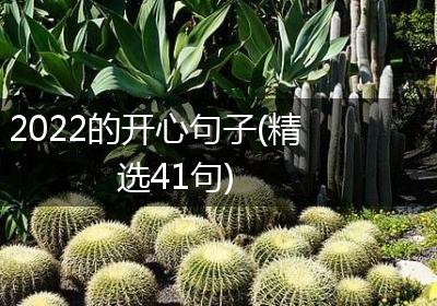 2022的开心句子(精选41句)