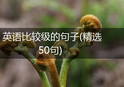 英语比较级的句子(精选50句)