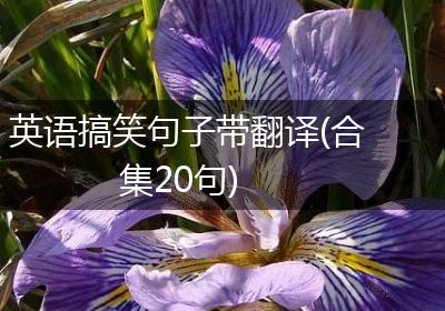 英语搞笑句子带翻译(合集20句)