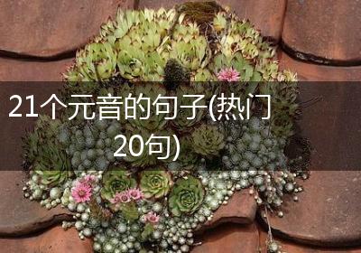21个元音的句子(热门20句)