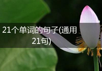 21个单词的句子(通用21句)