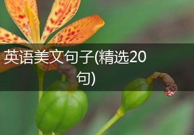 英语美文句子(精选20句)