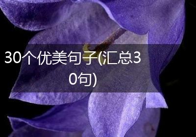 30个优美句子(汇总30句)